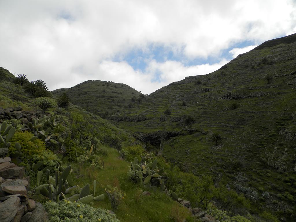 Wanderung von Arure nach  El Cercado, Calera
